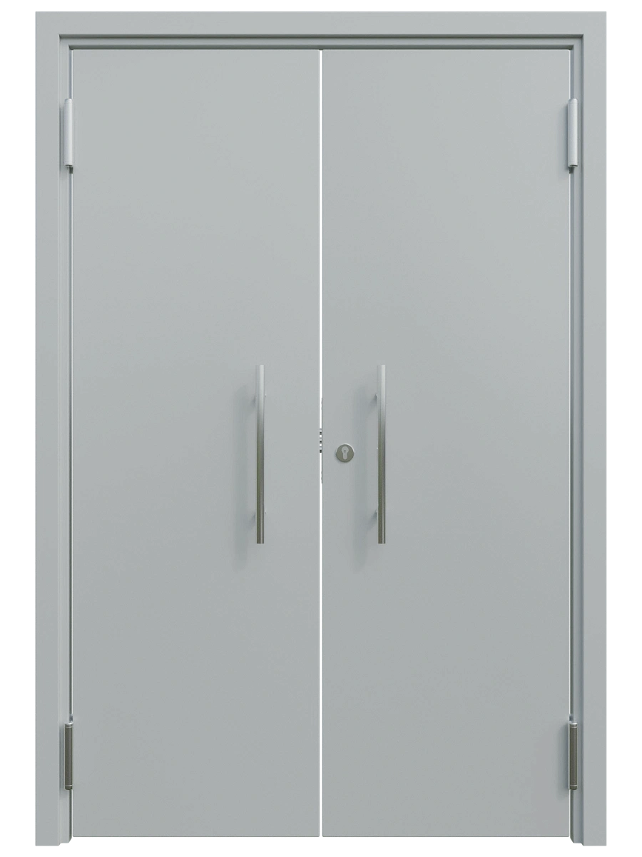 Двупольная маятниковая дверь глухая