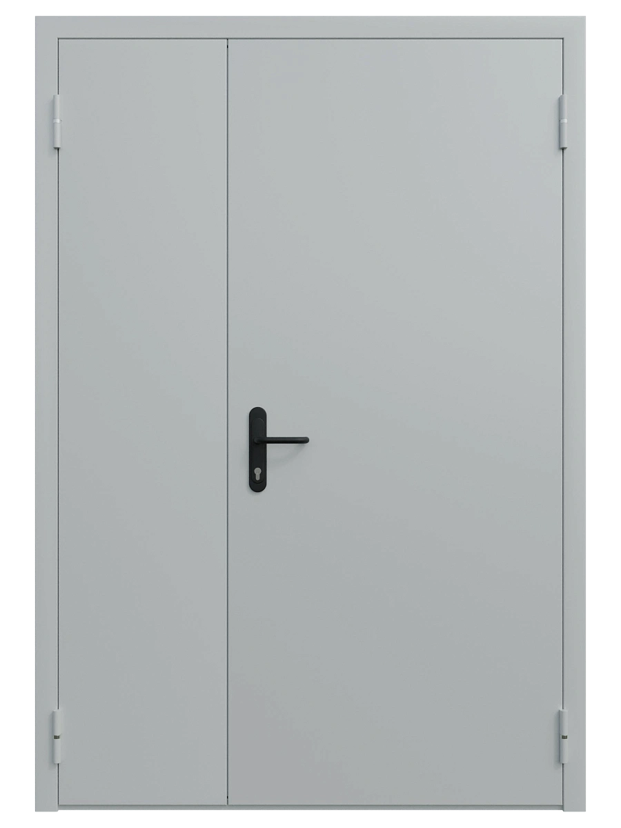 Двупольная техническая универсальная дверь глухая
