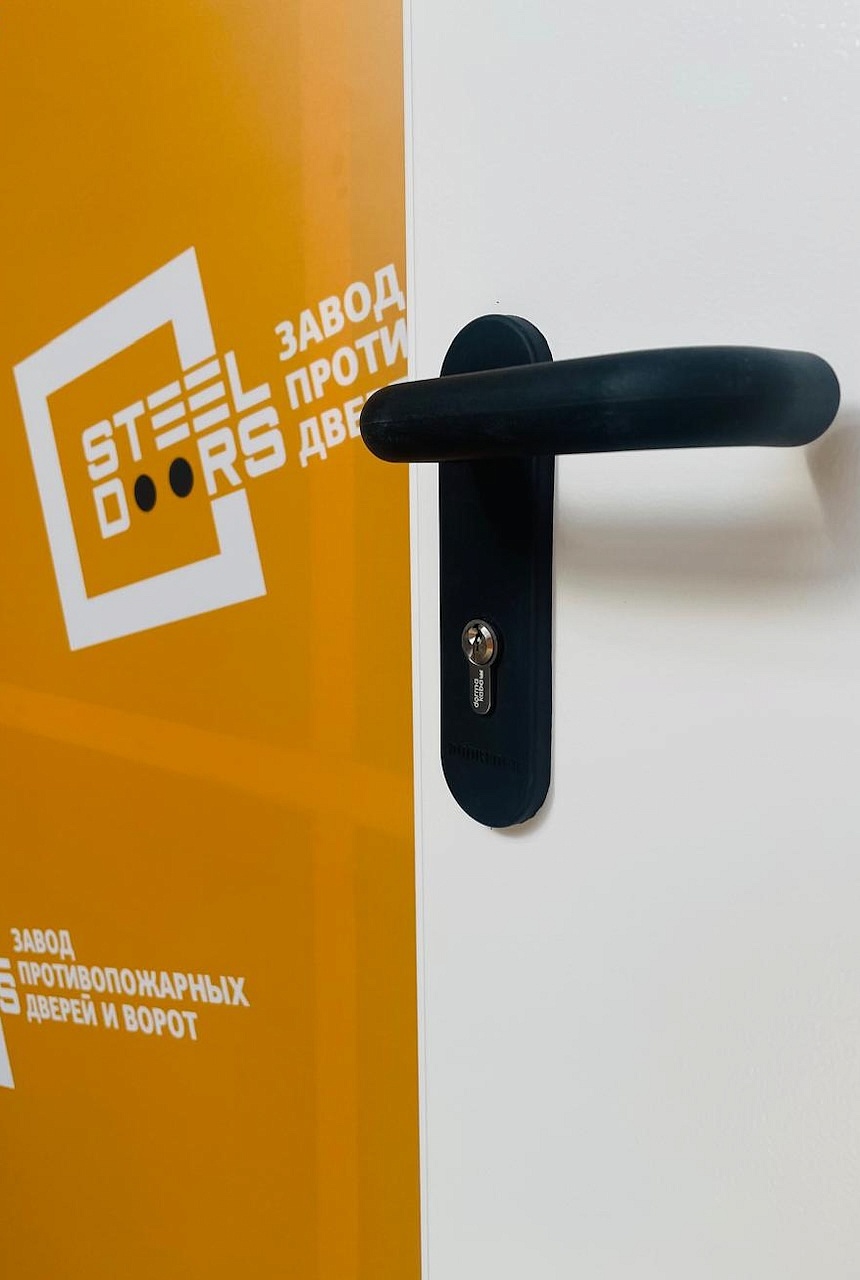 Двупольная глухая противопожарная дверь ei 60 1200х2050, металл 1.5 мм, цвет Муар